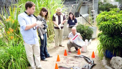 10 ГРЯЗНЫХ ПРОФЕССИЙ ЗА КОТОРЫЕ ХОРОШО ПЛАТЯТ