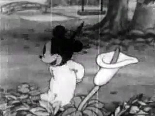 New Duck Donald Ducks Outing - Mickey Mouse Cartoon 1935