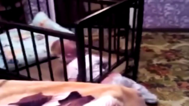 Приколы 2015 Улетное Видео Ржач