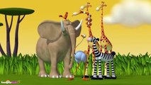 Funny Animals Cartoons Collection - Lighter Than Air - For Babies by HooplakidzTv