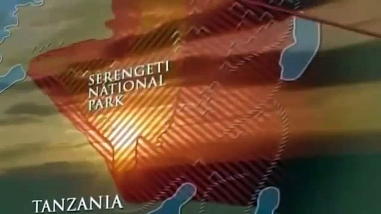 Full Documentary Eternal Enemies Lions vs Hyenas Fight Terrible War National Geographic HD