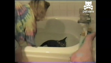 Cat ruins woman's bath time plans-J44liOXqKUU