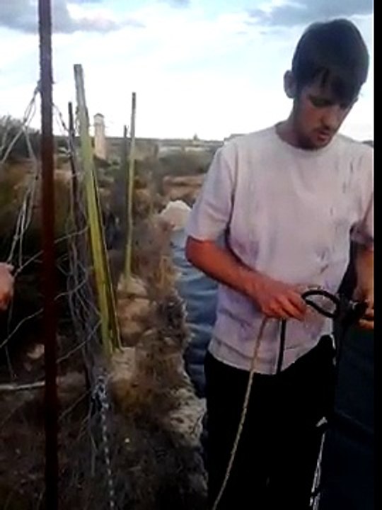 Un Homme Sauve Un Chat D'un Bassin De Rétention Froid - Part 1