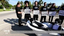 Des militants déguisés en orques devant le Marineland d'Antibes