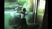 Kids Funny video in the  zoooo, 2015