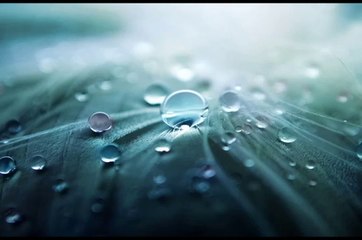 What is the worth of world for a muslim. must watch and implement upon his advise