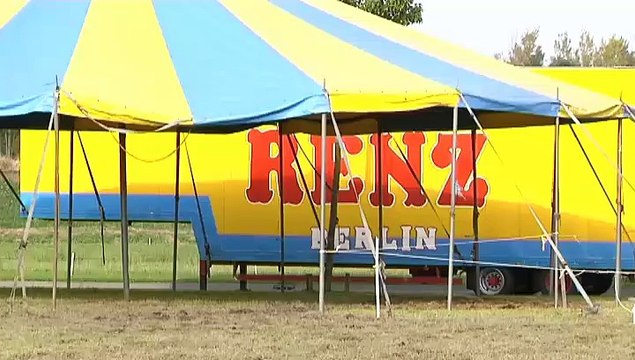 Circus Renz: Olifanten horen bij onze familie - RTV Noord