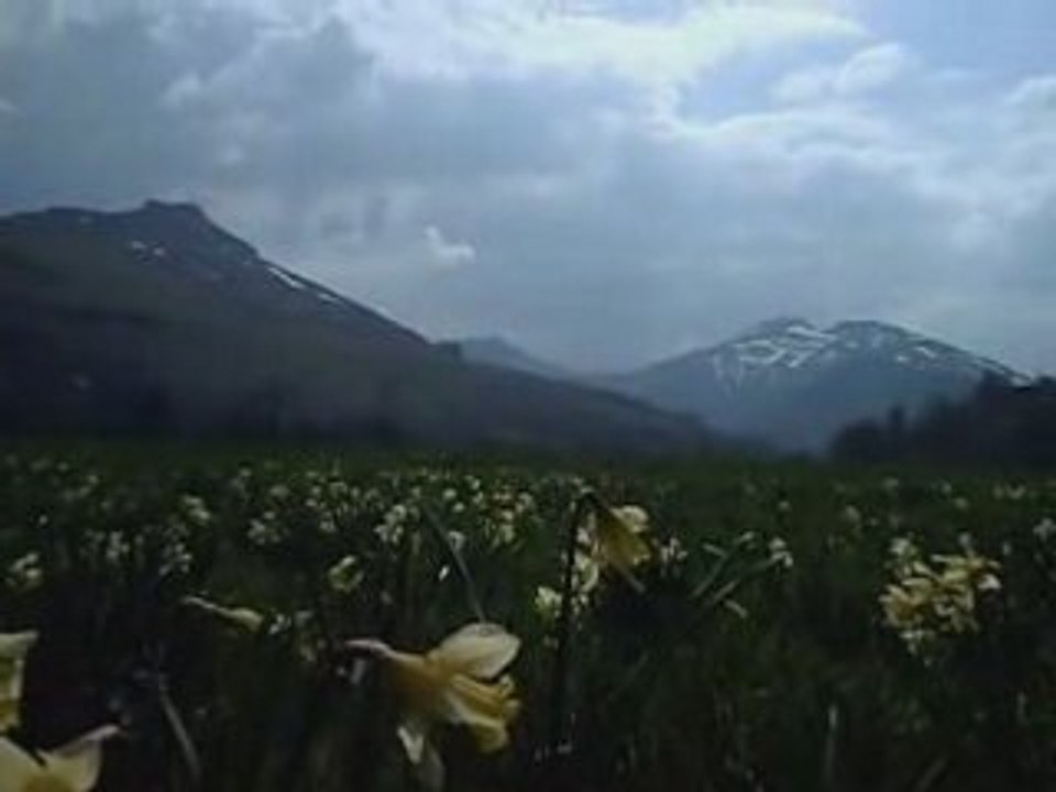 Cantal: Skis rando  Avril 2007