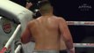Boxer stops pulverizing opponent asks referee end the fight