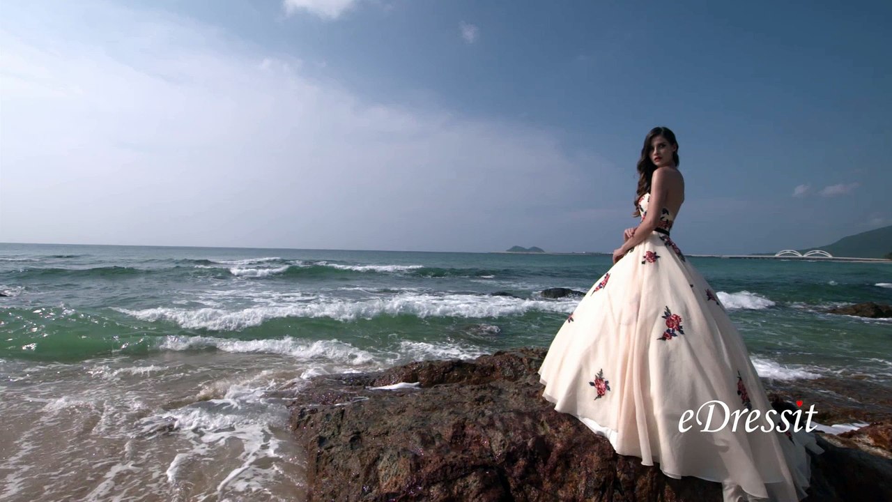 eDressit 2016 s/s collection---Vintage Strapless Embroidered Beige Ball Gown