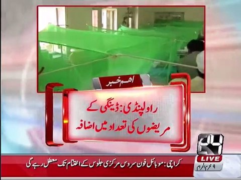 Number of dengue patients increased to 2600 in Rawalpindi
