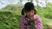 Kesetiaan Seekor Anjing Kepada Pemiliknya di Jepang Oleh Johanes Chandra Ekajaya