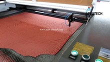 APEX CNC TECH china fabric laser cutting machine  with auto feeding function 1