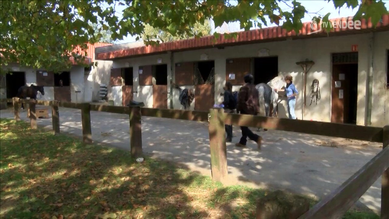 Visages du sport : L'Etrier Fontenaisien