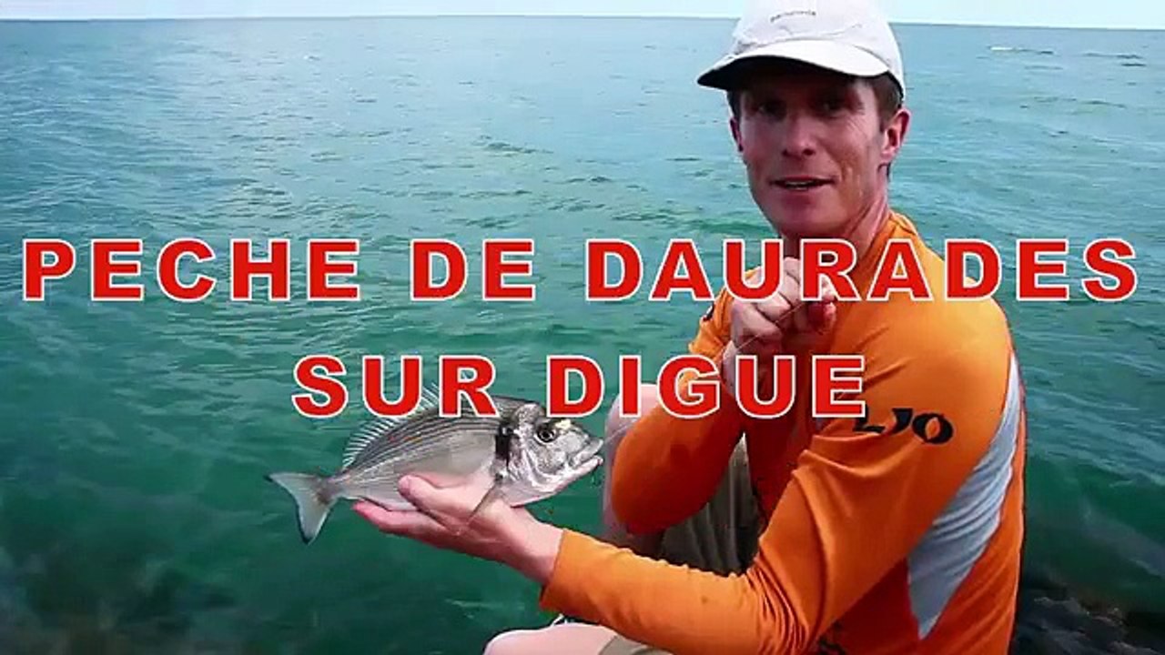 Pêche de dorade sur digue  techniques et montages dorades