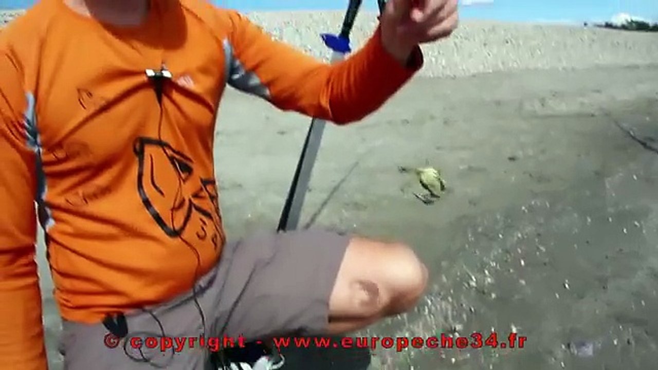 Pêche en surfcasting de la daurade aux Aresquiers