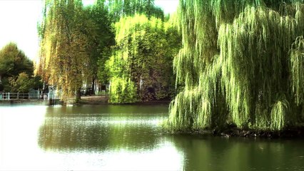 Spartacus, Музыкальный клип, Исполнитель Борзяк Павел