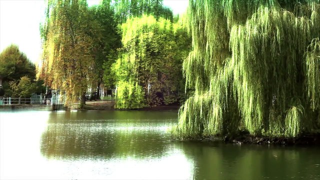 Spartacus, Музыкальный клип, Исполнитель Борзяк Павел