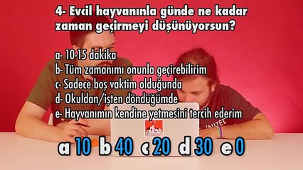 Hangi Evcil Hayvan Sana Daha Uygun - Testi Çözüp Öğren