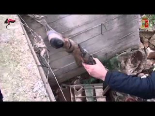 Bari - Armi e gioielli della mala sepolti in un campo: anche un lanciarazzi (23.10.15)