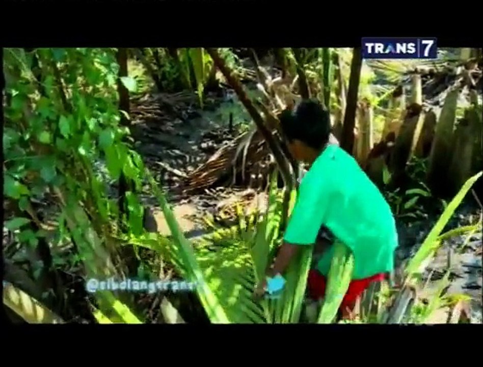 Bocah Petualang  - delta Lakkang,Negeri Parasanganta