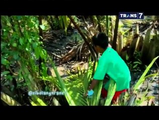 Bocah Petualang  - delta Lakkang,Negeri Parasanganta