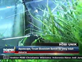 Aquascape, Taman Bawah Air dalam Akuarium
