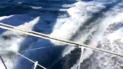 Transat Jacques Vabre : embarquez sur Banque Populaire VIII et Sodebo Ultim'