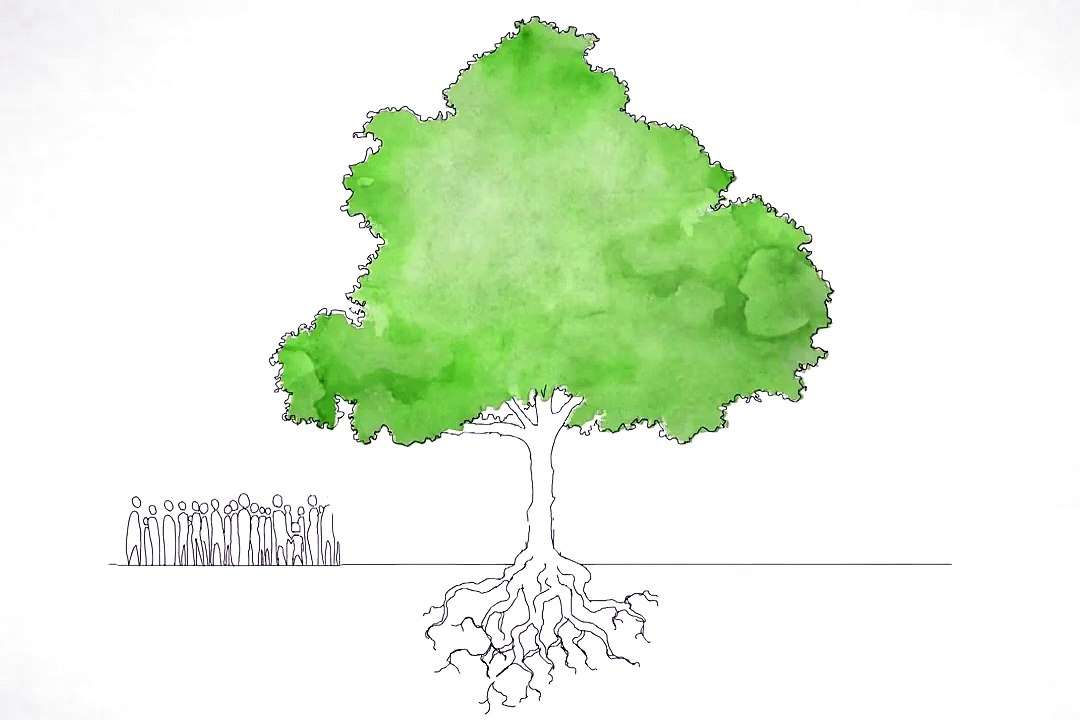 « Tu connais l'ESS  » : une vidéo-découverte pour les jeunes