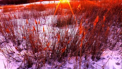 Мартовский вечерний свет фильм и музыка Михаила Киселёва