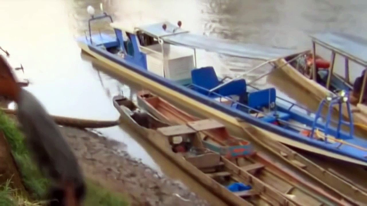 Discovery wild life crocodile attacks alive people Nat Geo wild documentaries full HD