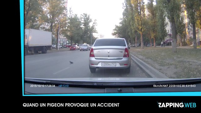 Un taureau fonce dans le public en pleine corrida