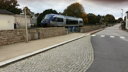 Manifestation en mémoire de Rémi Fraisse