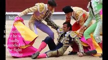 Bulls 3 Matadors 0 World Series BULLFIGHT is CANCELLED for first time in 35 years