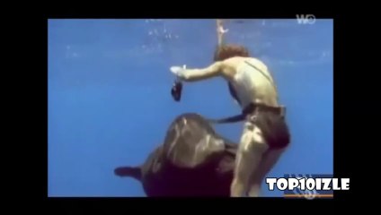 Ansızın Gelen 10 Hayvan Saldırısı