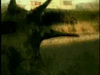 Aliens with 2000 assholes