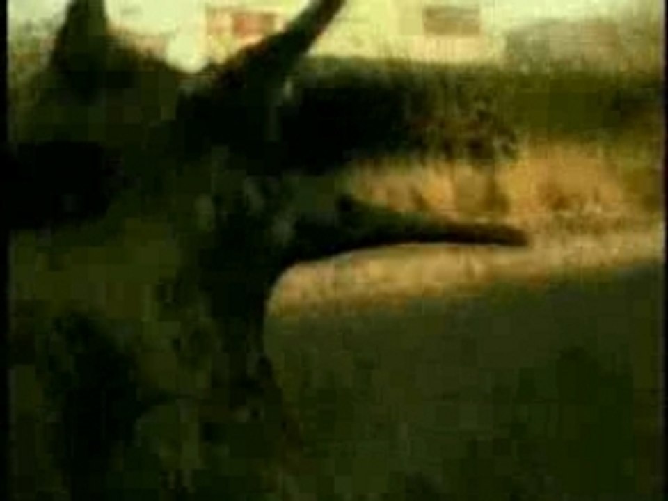 Aliens with 2000 assholes