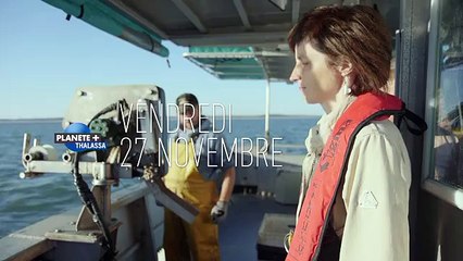 Le climat selon Sophie