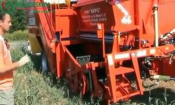 آلو کی فصل کی کاشت کیسے کی جاتی ہے ۔۔ یہ معلوماتی ویٖڈیو دیکھیے