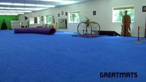 Leerburg dog training on Greatmats dog agility mats