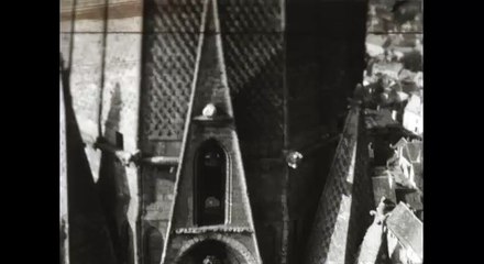 IV. Cathédrale de Chartres