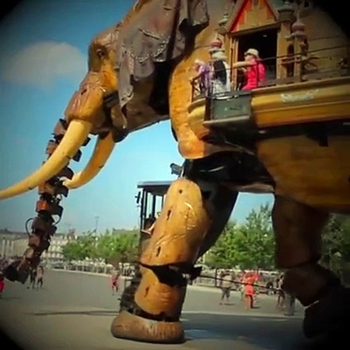 Amazing video 2015