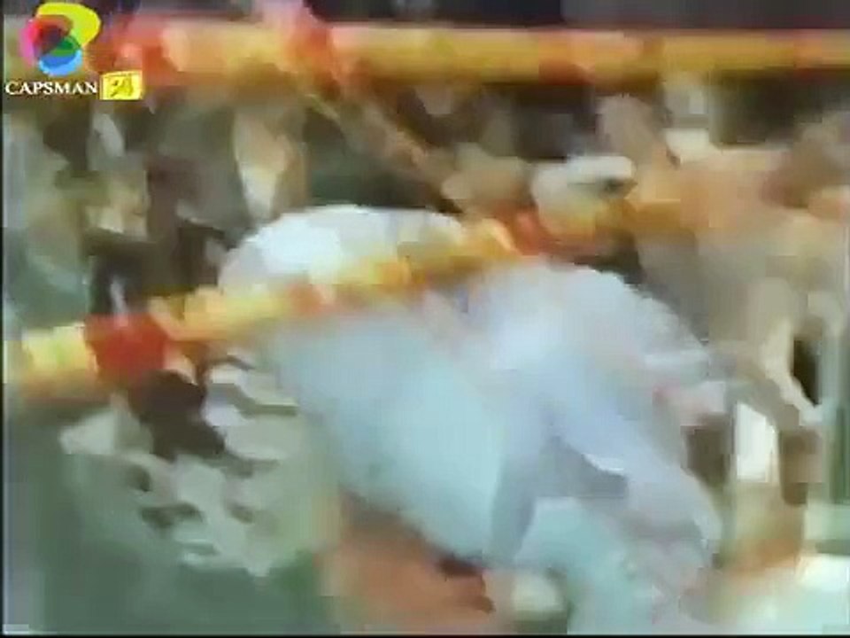 Sinan Engin vs Mike Tyson boks maçi