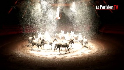 «On achève bien les anges» : découvrez le nouveau spectacle de Bartabas