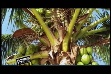 De Casa En Casa - Beneficios del Aceite de Coco