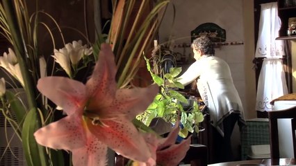 Julia de Mar del Plata, una nueva jubilada a través de la Moratoria