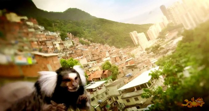 Волшебный миг полёта