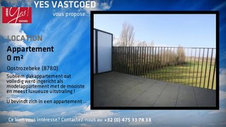 A louer - Appartement - Oostrozebeke (8780)