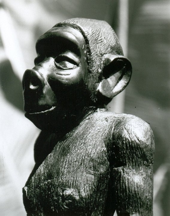 Christian Le Noël, l'africain (1sur2)/Les nains de brousse