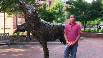 Wolfpack Now with Logan Sims (Week of October 19th 2015)-HD